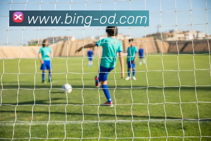 OD体育服务体系