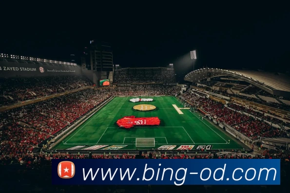 OD体育APP 封面图